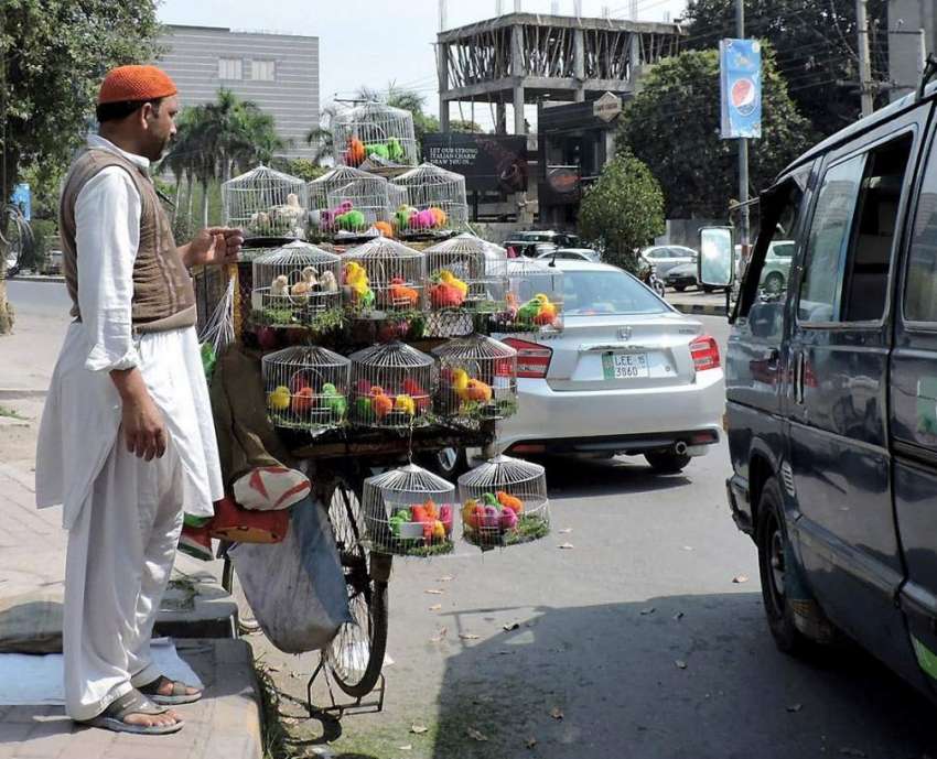 لاہور: ایک شخص برکت مارکیٹ چوک میں چوزے فروخت کر رہا ہے۔