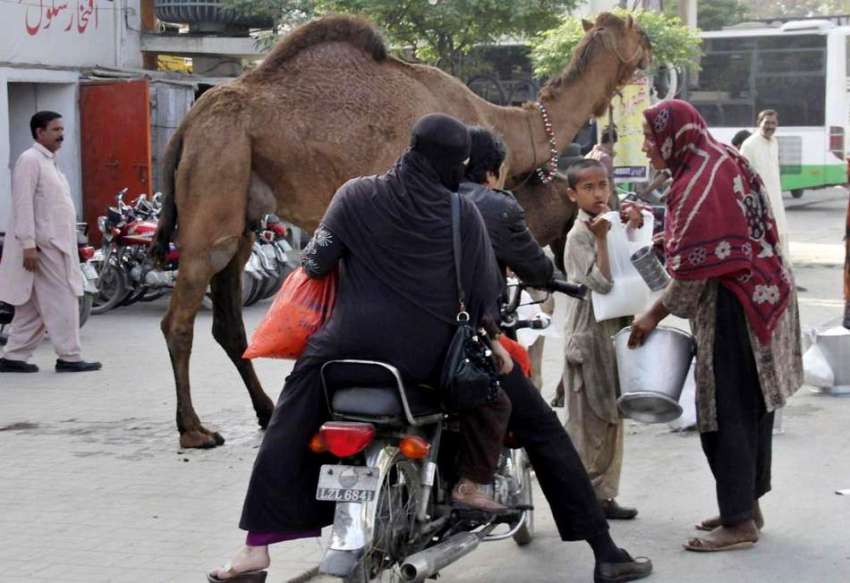 لاہور: موٹر سائیکل سوار شہری ایک خاتون سے اونٹنی کا دودھ ..