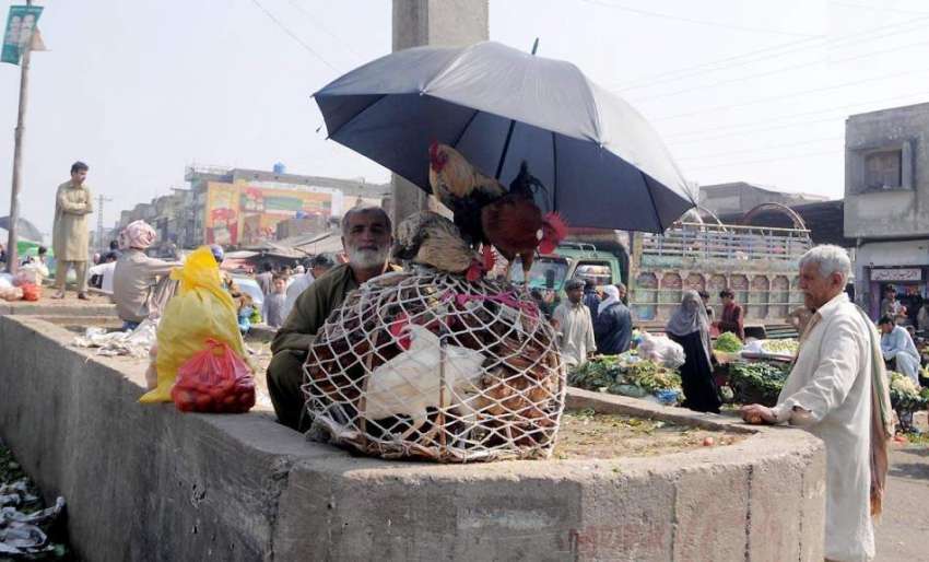 راولپنڈی: سبزی منڈی میں ایک شخص مرغیاں فروخت کر رہا ہے۔