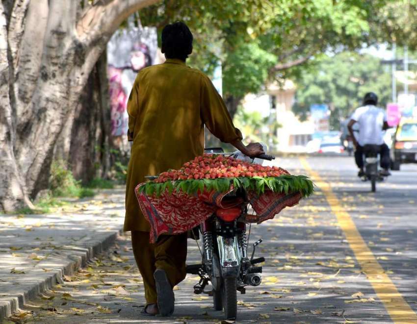 اسلام آباد: ایکپھل فروش موٹر سائیکل پر سٹرابری رکھے فروخت ..