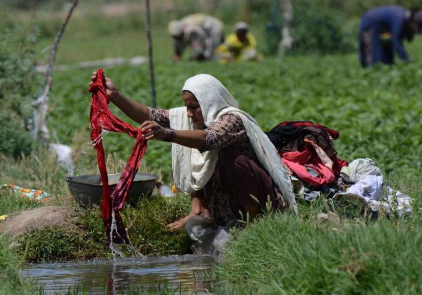 لاہور: محنت کش خاتون کھیت میں چلتے پانی میں کھڑے دھو رہی ..