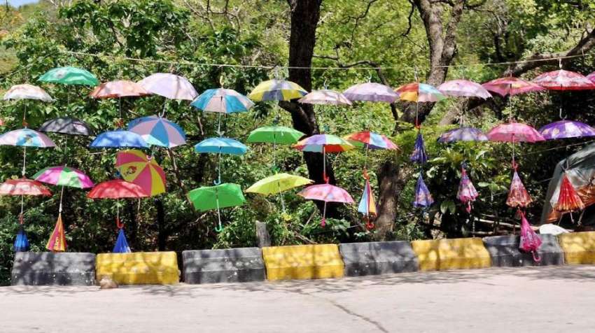 راولپنڈی: مری کے راستے میں ایک محنت کش نے سڑک کنارے چھتریاں ..
