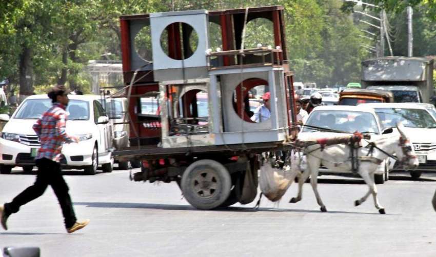 لاہور: محنت کش گدھا ریڑھے پر ائیر کولر کی باڈیاں رکھے مال ..