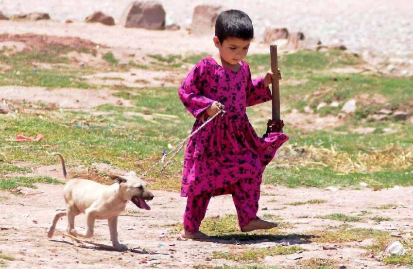 راولپنڈی: ایک ننھی افغان بچی اپنے گھر کے باہر جانور کے بچے ..
