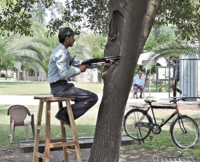 لاہور:جیلانی پارک میں ایک سیکیورٹی گارڈ مورچے کی بجائے درخت ..