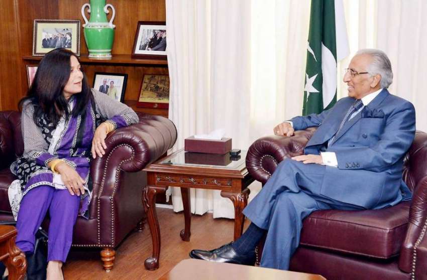 اسلام آباد: وزیر اعظم کے معاون خصوصی طارق فاطمی سے برطانوی ..