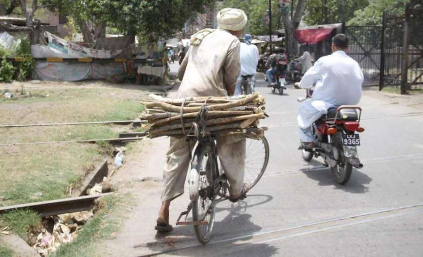 لاہور: ایک شخص گھر کو چولہا جلانے کے لیے سائیکل پر لکڑی اکٹھی ..