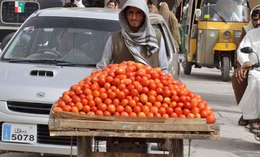 کوئٹہ: شاہراہ اقبال پر ایک شخص ہاتھ ریڑھی پر ٹماٹر فروخت ..