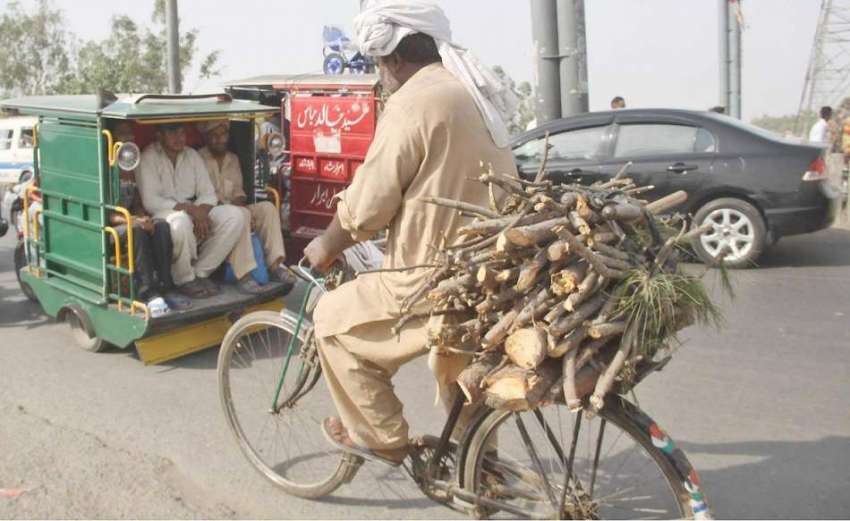 لاہور: ایک شخص گھر کا چولہا جلانے کے لیے لکڑیاں سائیکل پر ..