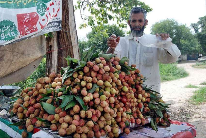 اسلام آباد: محنت کش گاہکوں کو متوجہ کرنے کے لیے لیچی صاف ..