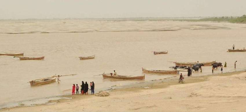 حیدر آباد: جامشورو کے مقام پر دریائے سندھ میں پانی کے بہاؤ ..
