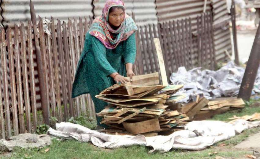 لاہور: ایک خاتون گھر کا چولہا جلانے کے لیے لکڑیاں اکٹھی کر ..