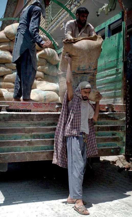 راولپنڈی: مزدور ٹرک سے آٹے کی بوریاں اتار رہ ہیں۔
