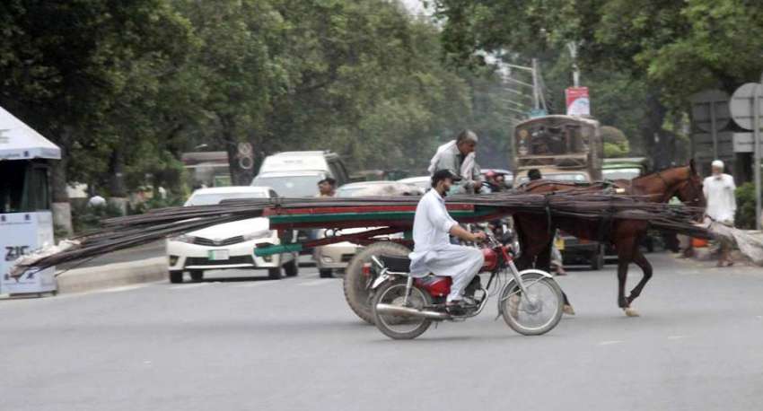 لاہور: پابندی کے باوجود ایک ریڑھے والا اوورلوڈنگ کیے مال ..