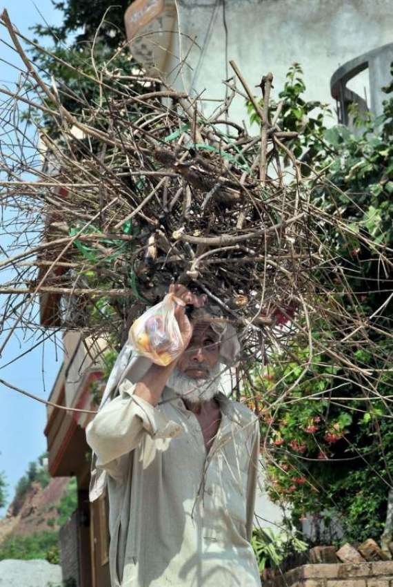 اسلام آباد: ایک معمر شخص چولہا جلانے کے لیے لکڑیاں سر پر ..