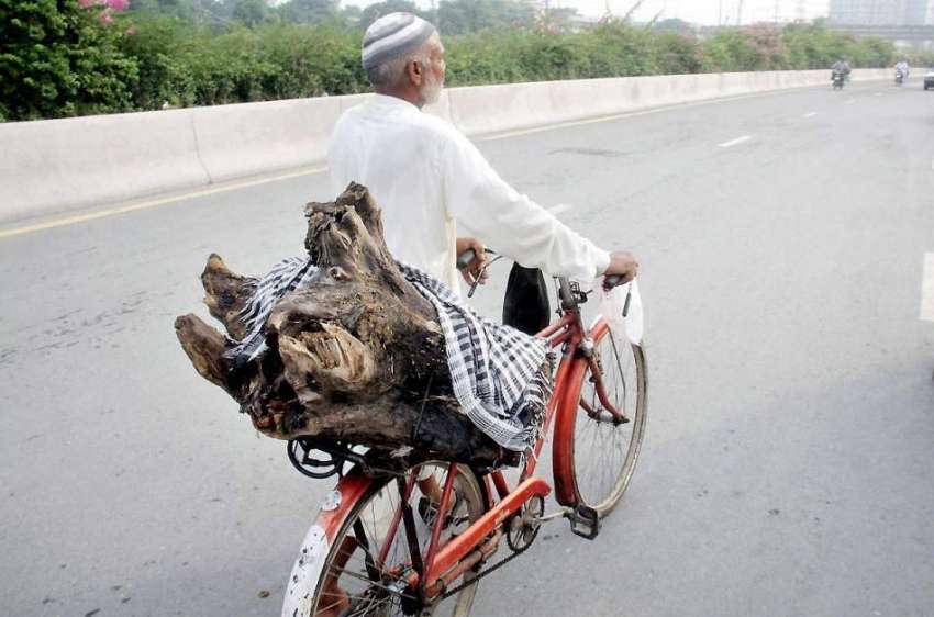 لاہور: ایک شخص گھر کا چولہا جلانے کے لیے درخت کا تنا سائیکل ..