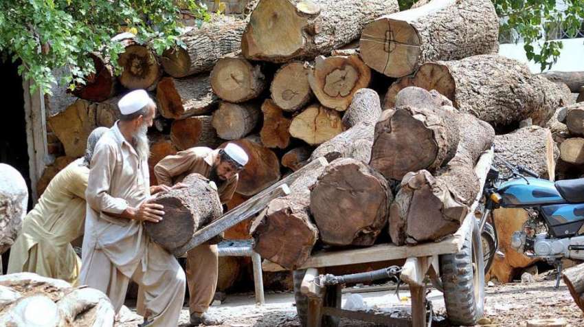 راولپنڈی: مزدور بڑے سائز کے لکڑیاں ریڑھے پر لادھ رہے ہیں۔