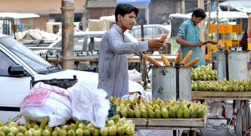 راولپنڈی: نوجوان محنت کش چھلیاں بھون کر اپنے ریڑھی پر فروخت ..