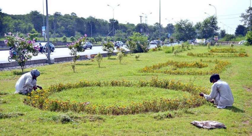 اسلام آباد: سی ڈی اے کے ملازمین سڑک کنارے لگائے گئے پھولوں ..