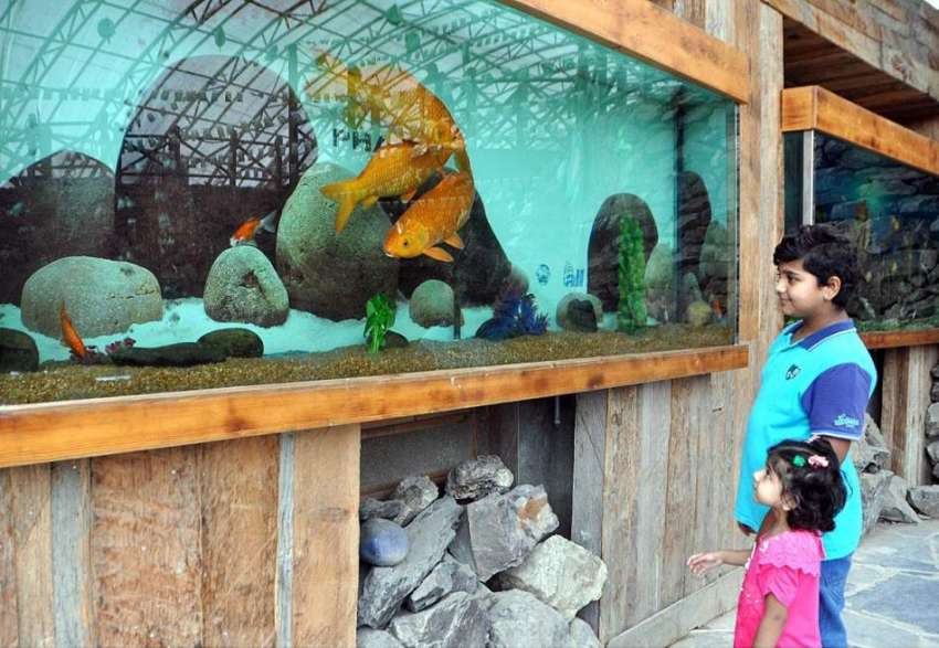 لاہور: بچے جلو پارک میں مچھلیاں دیکھ رہے ہیں۔