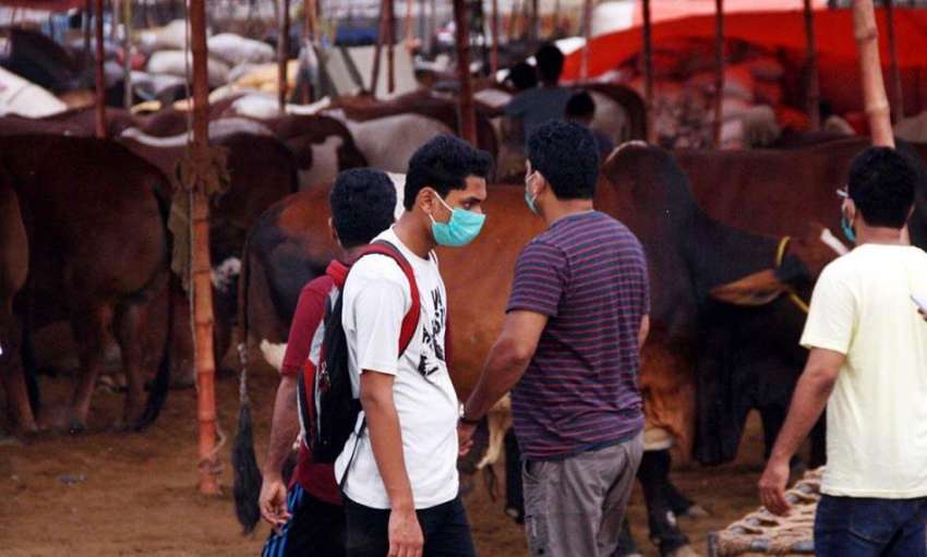 کراچی: مویشی منڈی میں شہریوں نے کانگو وائرس یا کسی بھی وائرس ..