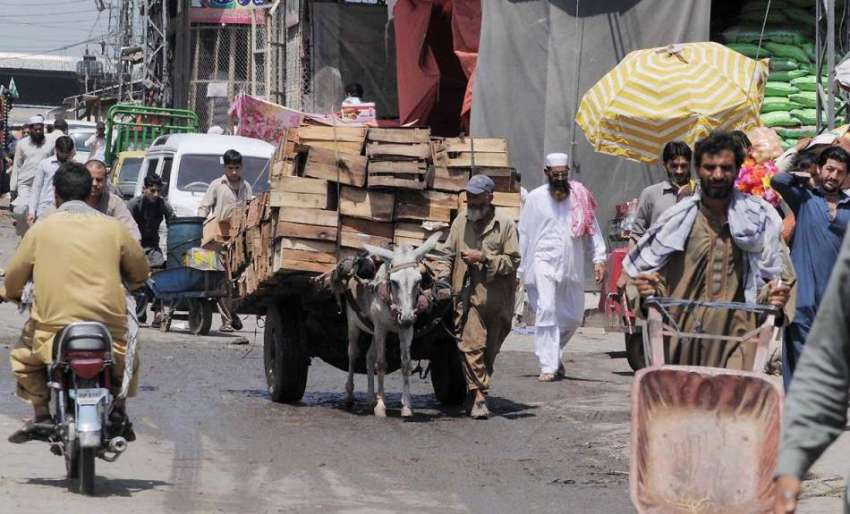 راولپنڈی: محنت کش گدھا ریڑھی پر فروٹ پیٹیاں لادھے منڈی روڈ ..