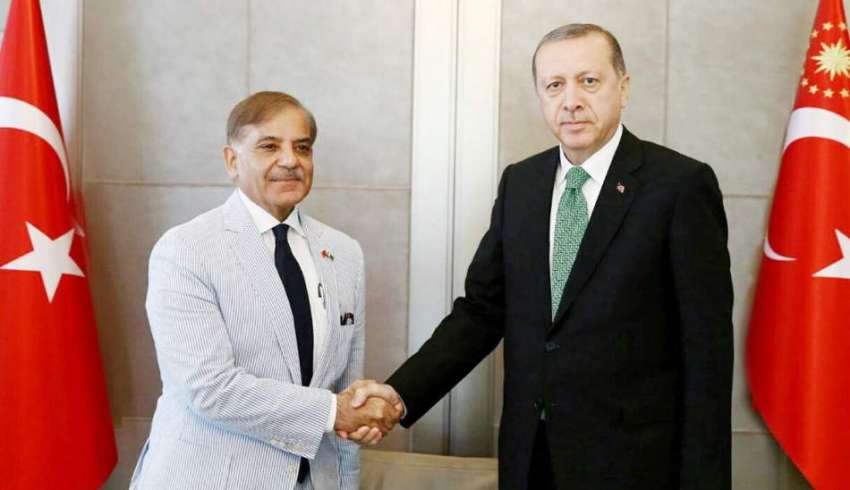 استمبول: وزیر اعلیٰ پنجاب محمد شہباز شریف اور ترکی کے صدر ..