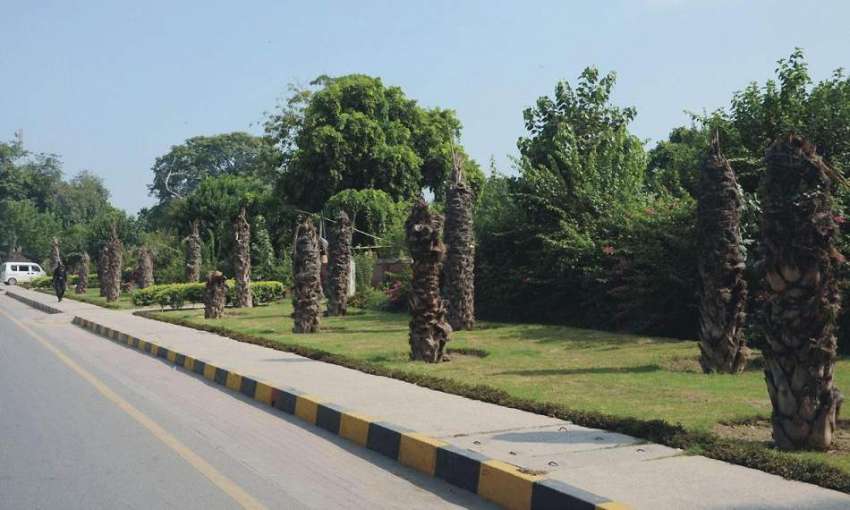 فیصل آباد: ضلعی انتظامیہ کی جانب سے گذشتہ سال سول ہسپتال ..