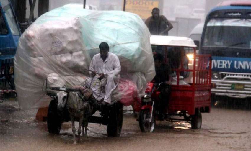 لاہور: صوبائی دارالحکومت میں ہونیوالی بارش کے باعث ایک گدھا ..