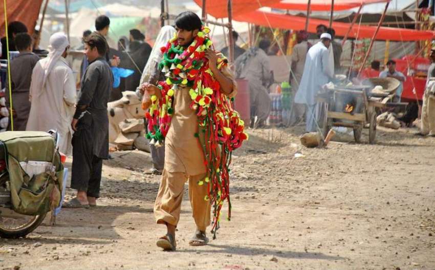 راولپنڈی: مویشی منڈی میں ایک شخص جانوروں کی سجاوٹ کا سامان ..