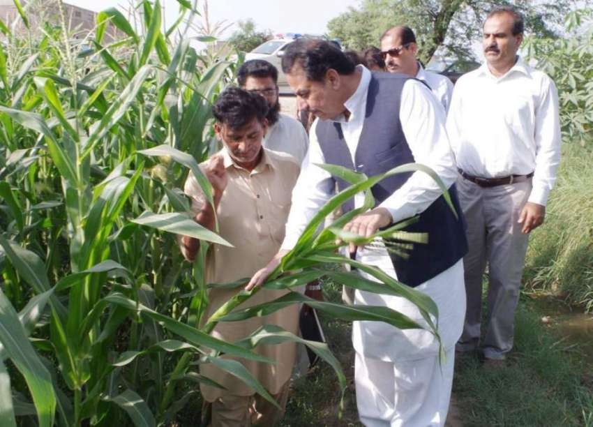قصور: صوبائی وزیر زراعت ڈاکٹر فرخ جاوید اچانک دورہ قصور ..