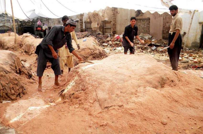 راولپنڈی: محنت کش قربانی کے جانوروں کی کھالوں کو محفوظ کررہے ..