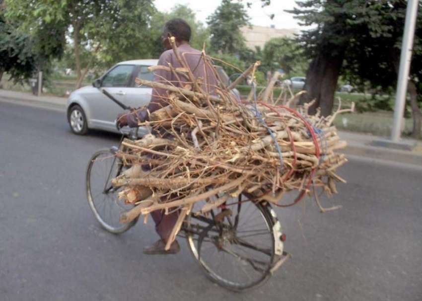 لاہور: ایک سائیکل سوار شخص گھر کا چولہا جلانے کے لیے لکڑیاں ..