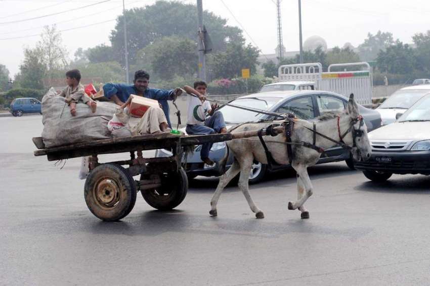 راولپنڈی: گدھا گاڑی پر سوار خانہ بدوش خاندان کے افراد کچہری ..