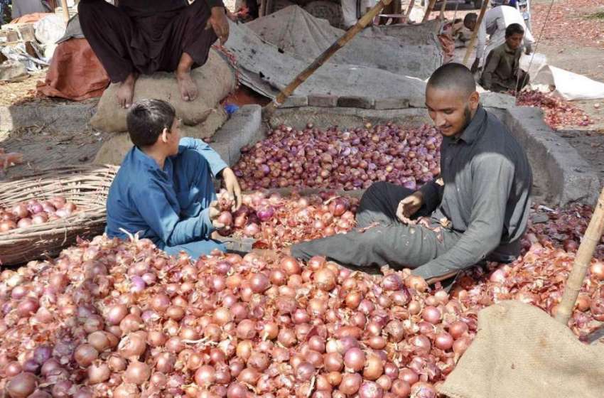 اسلام آباد: محنت کش سبزی منڈی میں پیاز چن رہے ہیں۔