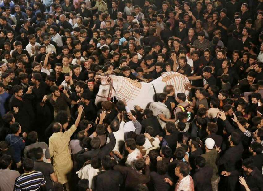 لاہور: یوم عاشور کے موقع پر برآمد ہونے والے شبیہ ذوالجناح ..