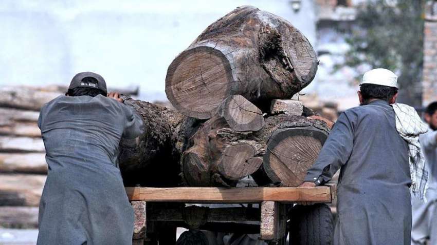 راولپنڈی: مزدورہتھ ریڑھی پر بھاری لکڑی رکھ رہے ہیں۔