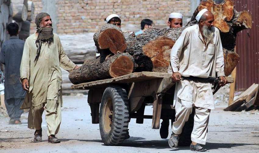 راولپنڈی: مزدور ہتھ ریڑھی پر بھاری لکڑی رکھے ویئر ہاؤس کی ..