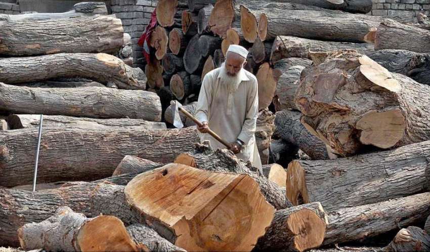 راولپنڈی: ایک معمر شخص لکڑی کو فرنیچر وغیرہ کے لیے قابل استعمال ..