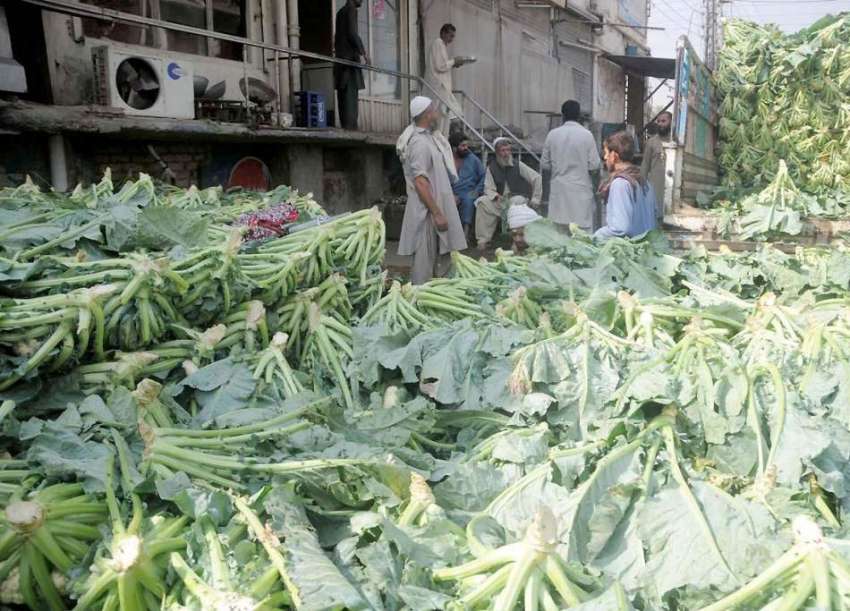 راولپنڈی: سبزی منڈی میں مزدو ٹرک سے گوبھی اتار رہے ہیں۔