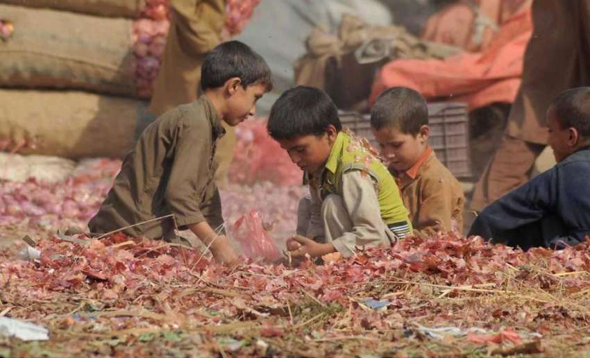 راولپنڈی: سبزی منڈی میں افغان بچے کار آمد پیاز تلاش کر رہے ..
