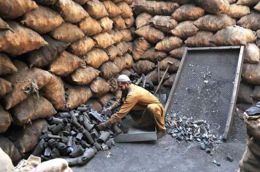 راولپنڈی: کوئلہ فروش فروخت کے لیے کوئلے کی اقسام الگ الگ ..