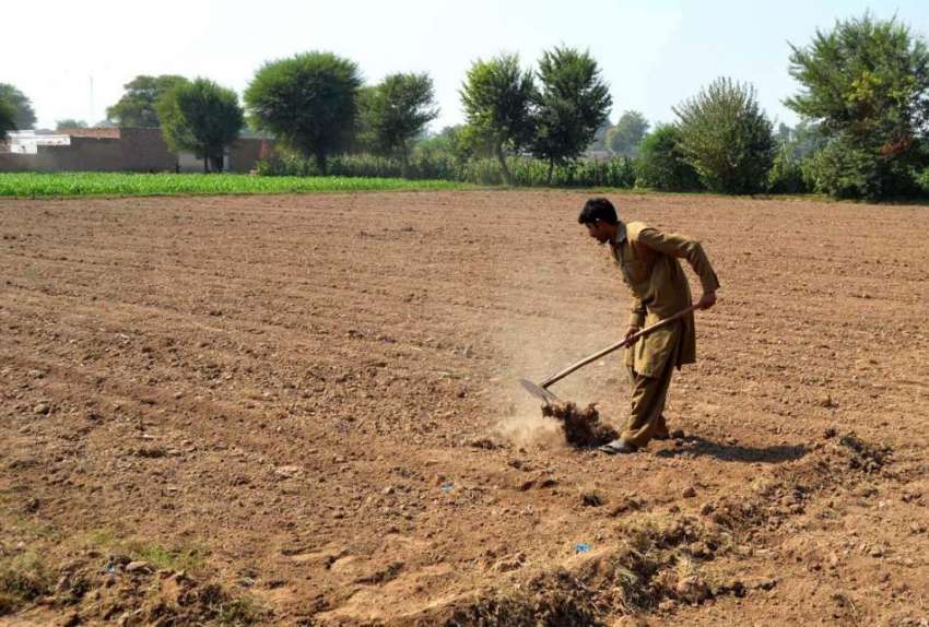 ملتان: کسان فصل کی بوائی کے لیے زمین تیار کر رہا ہے۔