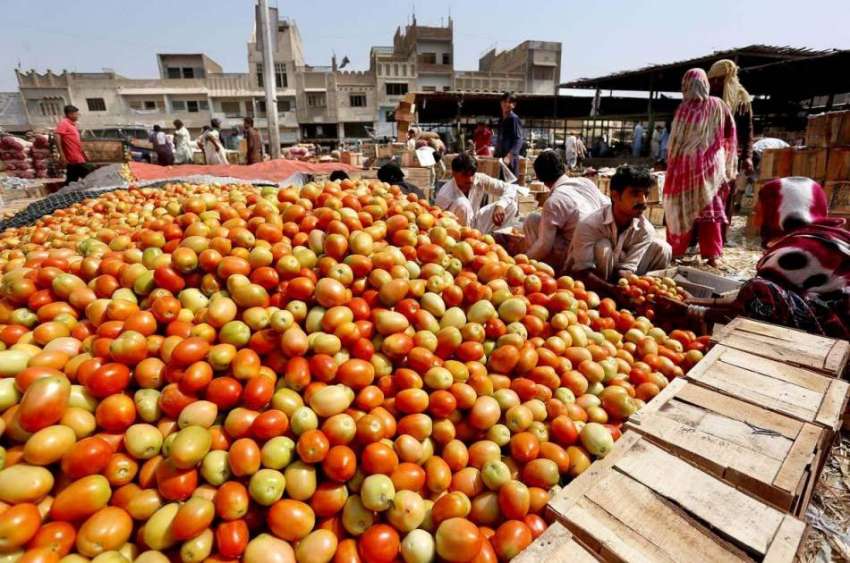حیدر آباد: سبزی منڈی میں مزدور ٹماٹر لکڑی کے کریٹوں میں پیک ..