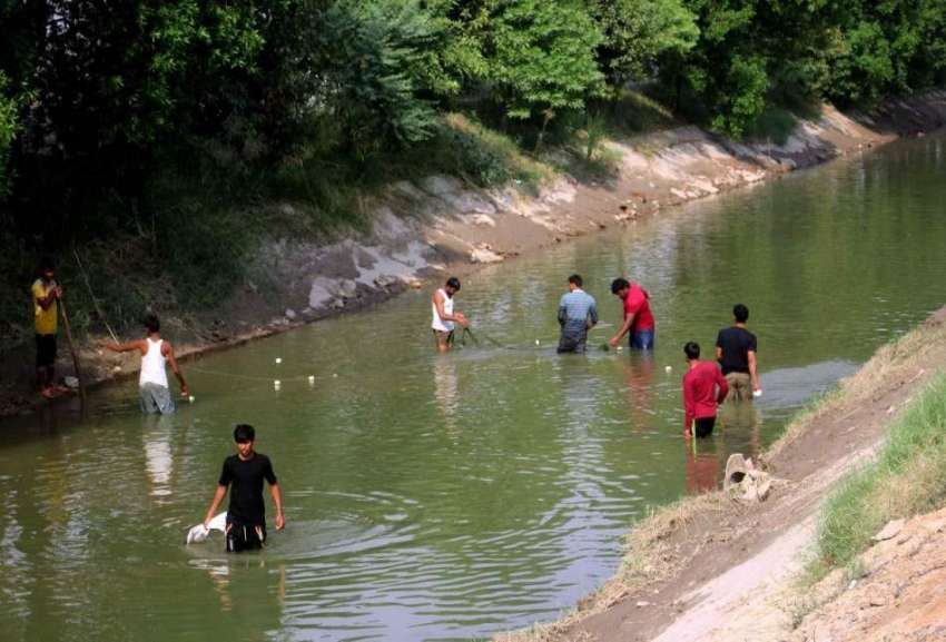 فیصل آباد: لڑکے نہر سے مچھلیاں پکڑنے کی کوشش کر رہے ہیں۔