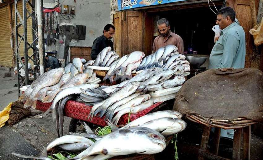 راولپنڈی: مچھلی منڈی میں ایک دوکاندار مختلف اقسام کی مچھلی ..