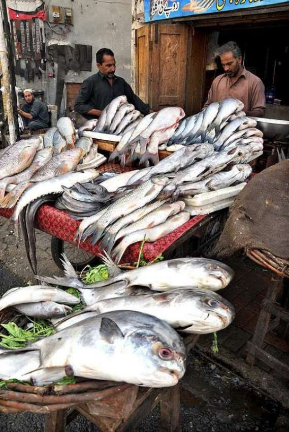 راولپنڈی: موسم سرما کی آمد کے ساتھ ہی مچھلی کی مانگ میں بھی ..