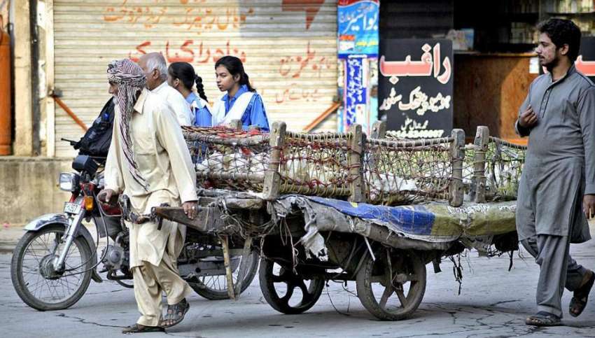 راولپنڈی: ایک معمر شخص ہتھ ریڑھی پر مرغیاں فروخت کے لیے مارکیٹ ..