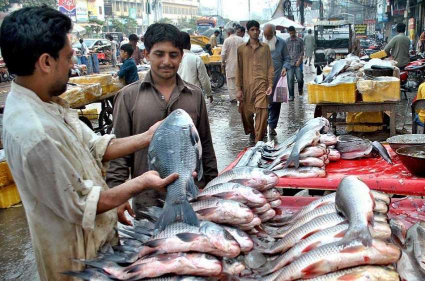 لاہور: شہری ریڑھی بان سے مچھلی پسند کر رہا ہے۔