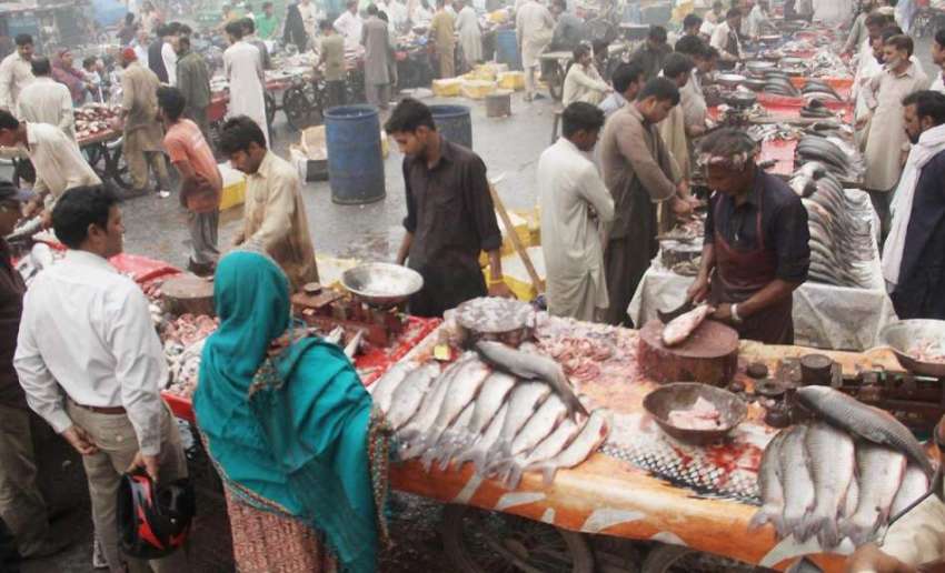 لاہور: سردی کی شدت بڑھتے ہی مچھلی منڈی سے شہری مچھلی کی خریداری ..